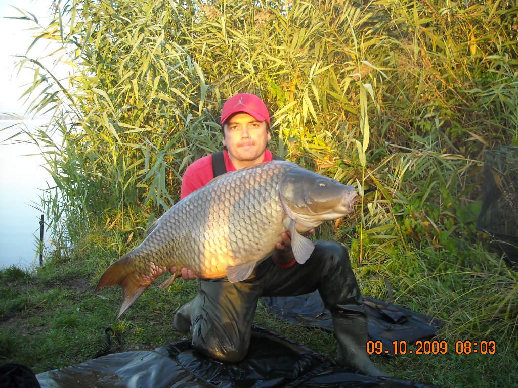 Concursuri - 2009 - dscn0945.jpg